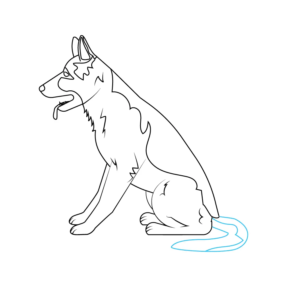 How to Draw A German Shepherd Step by Step Step  10