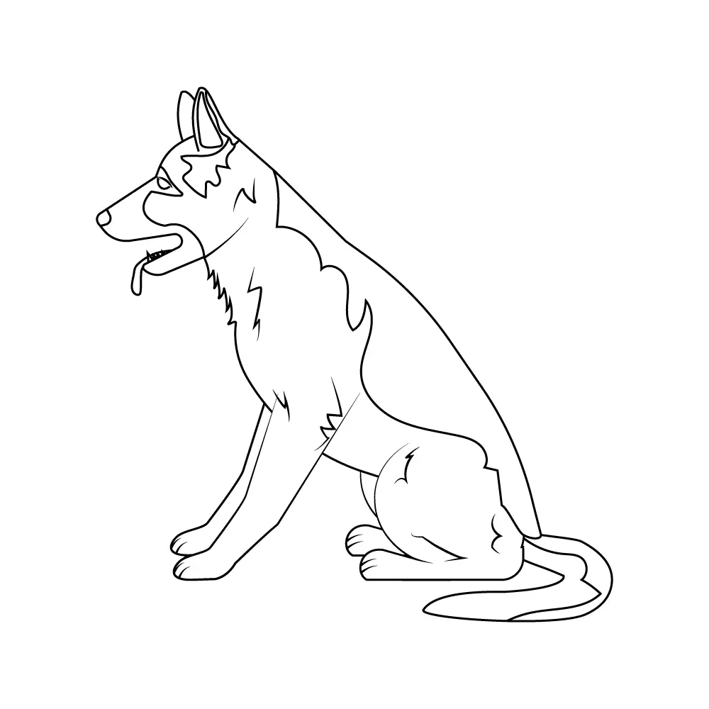 How to Draw A German Shepherd Step by Step Step  11
