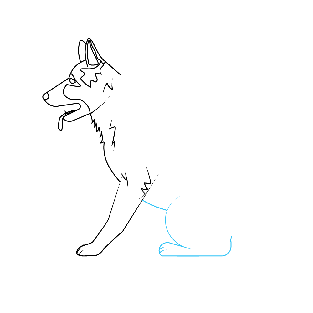 How to Draw A German Shepherd Step by Step Step  6