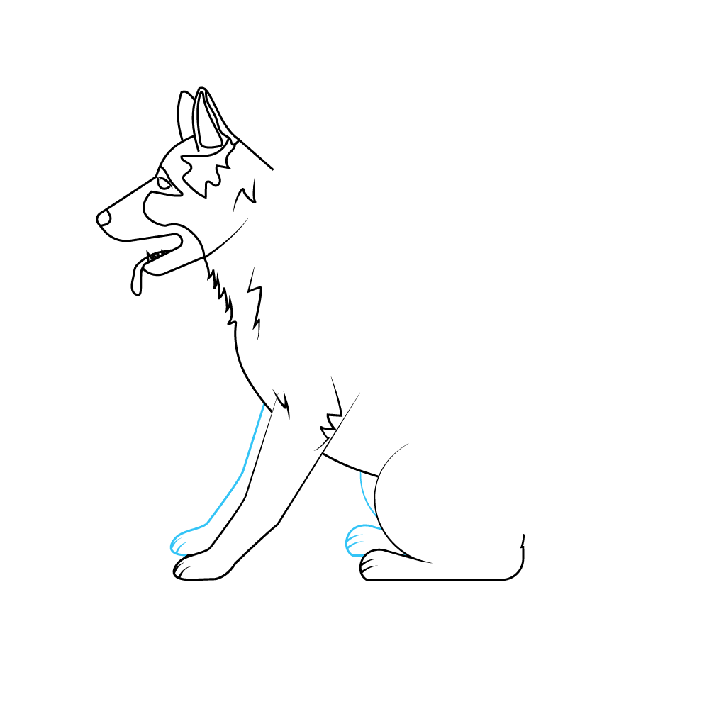 How to Draw A German Shepherd Step by Step Step  7