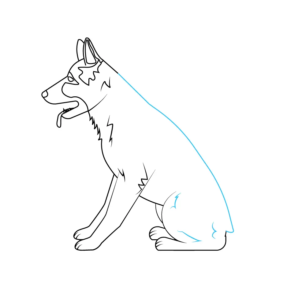 How to Draw A German Shepherd Step by Step Step  8