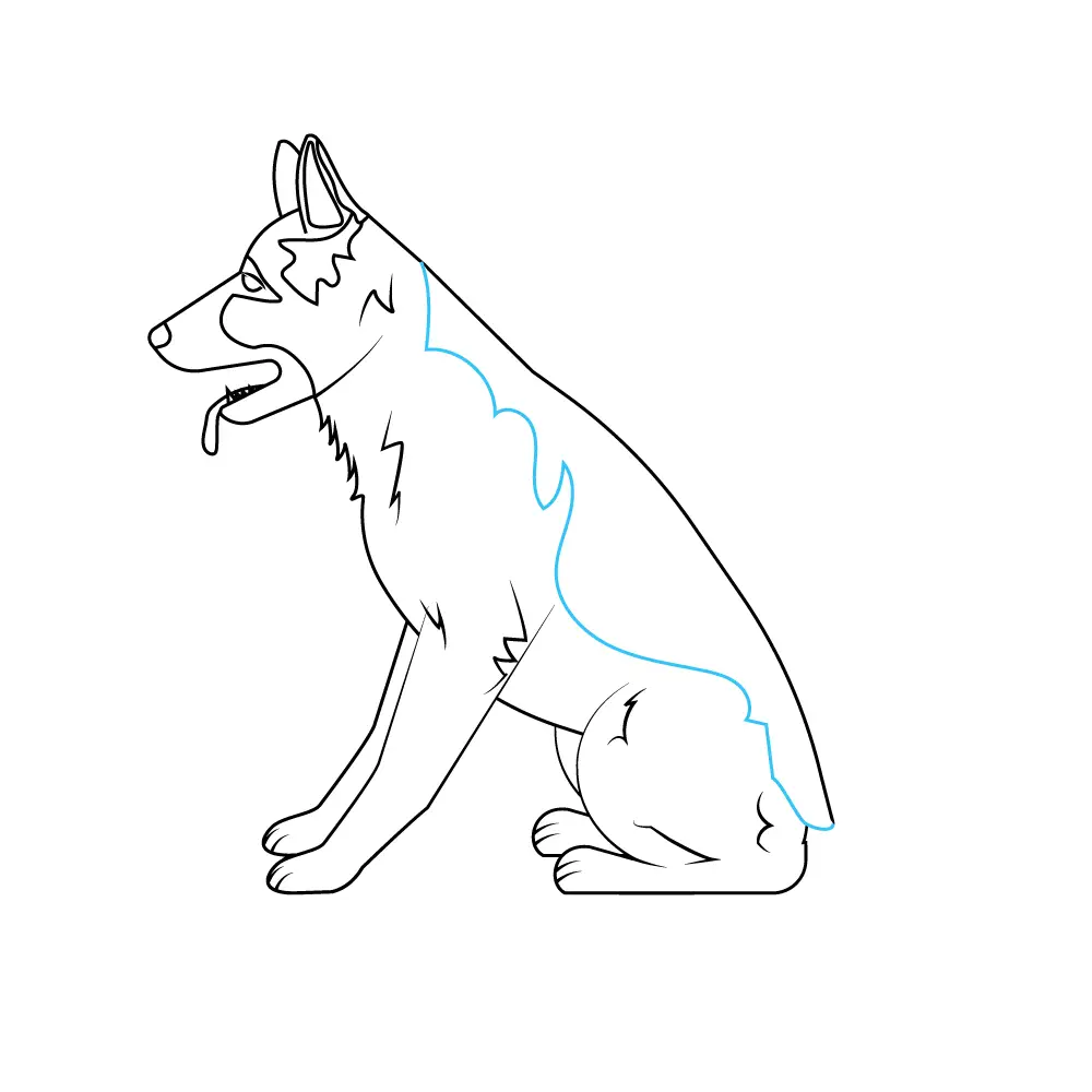 How to Draw A German Shepherd Step by Step Step  9