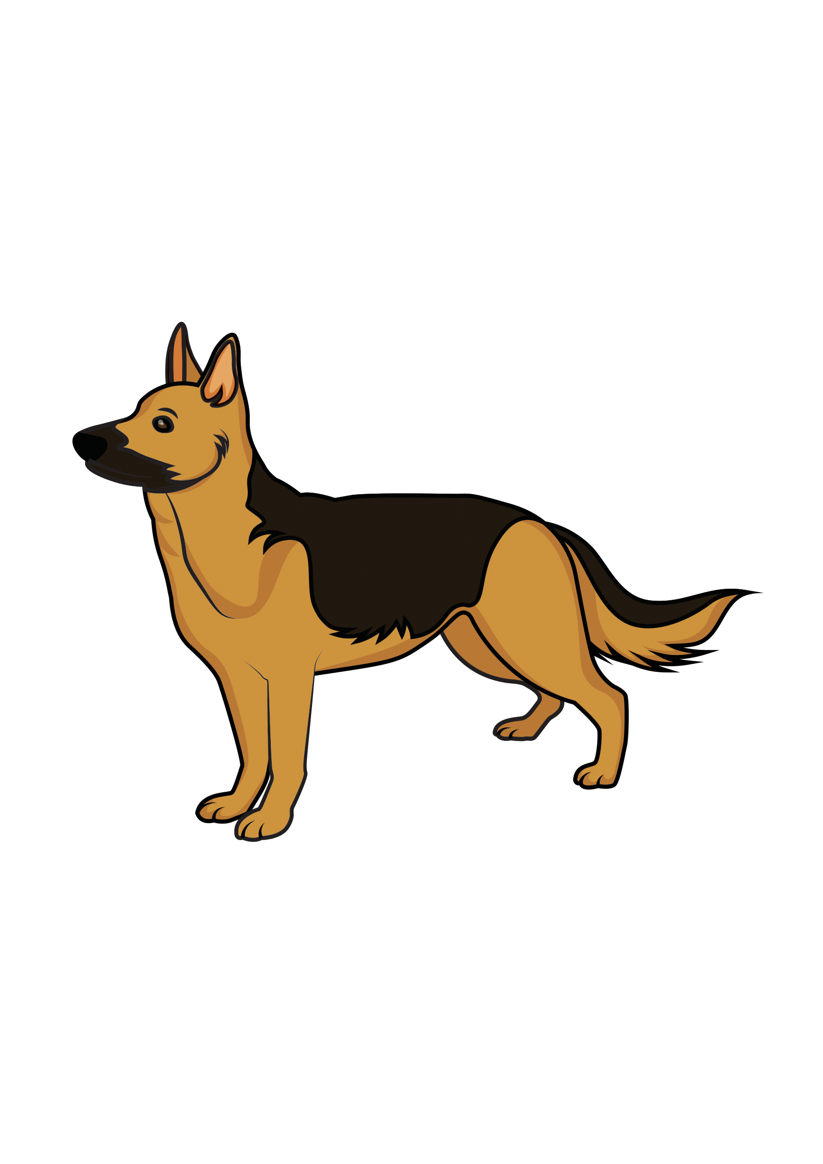 How to Draw A German Shepherd Two Step by Step