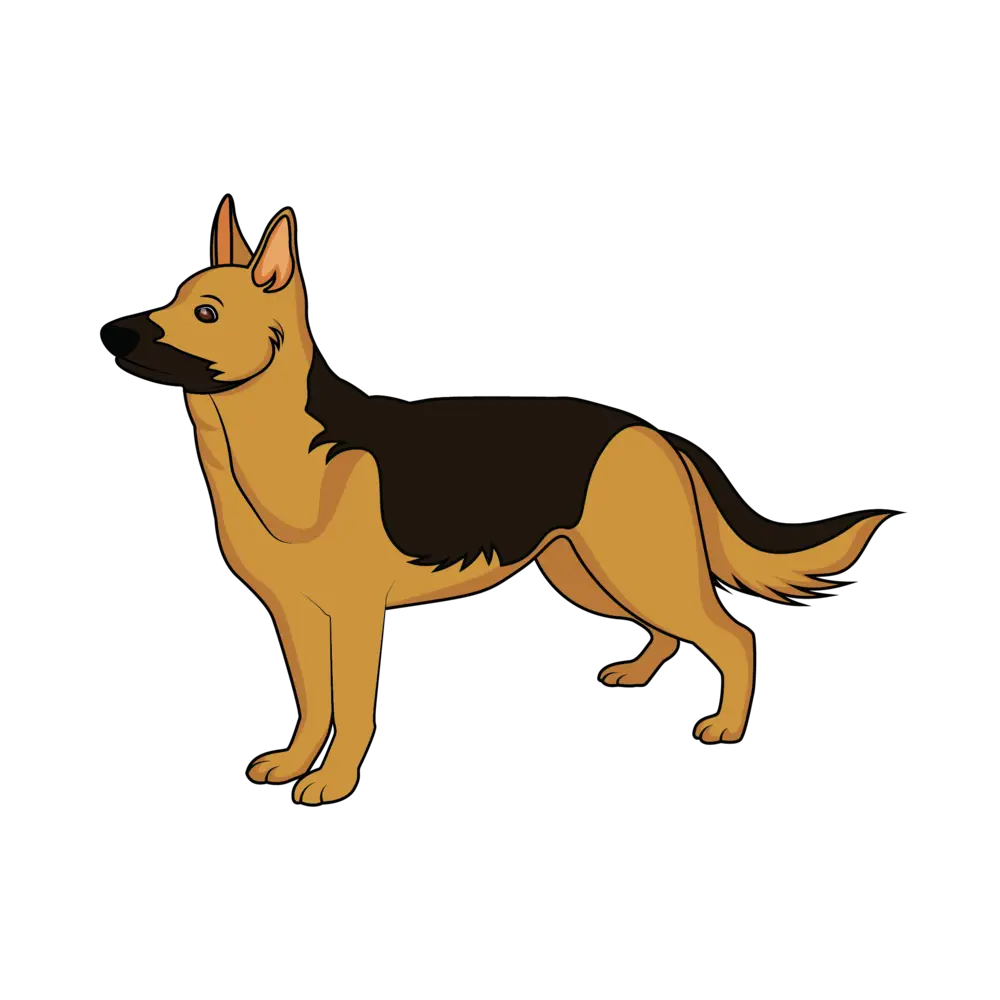 How to Draw A German Shepherd Two Step by Step Thumbnail