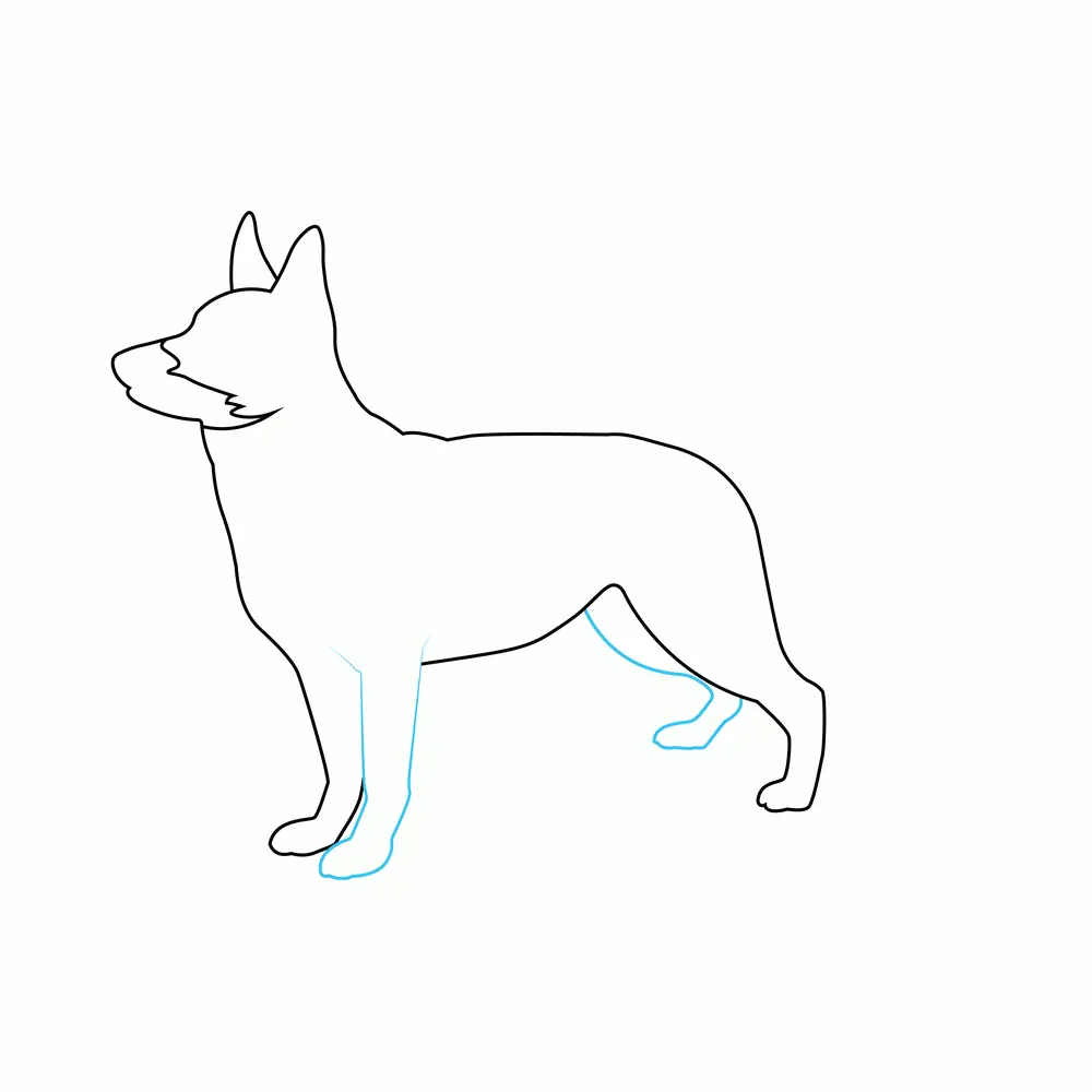 How to Draw A German Shepherd Two Step by Step Step  4