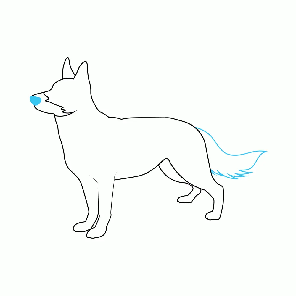 How to Draw A German Shepherd Two Step by Step Step  5