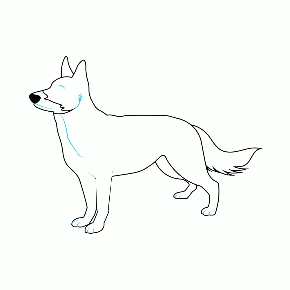 How to Draw A German Shepherd Two Step by Step Step  6