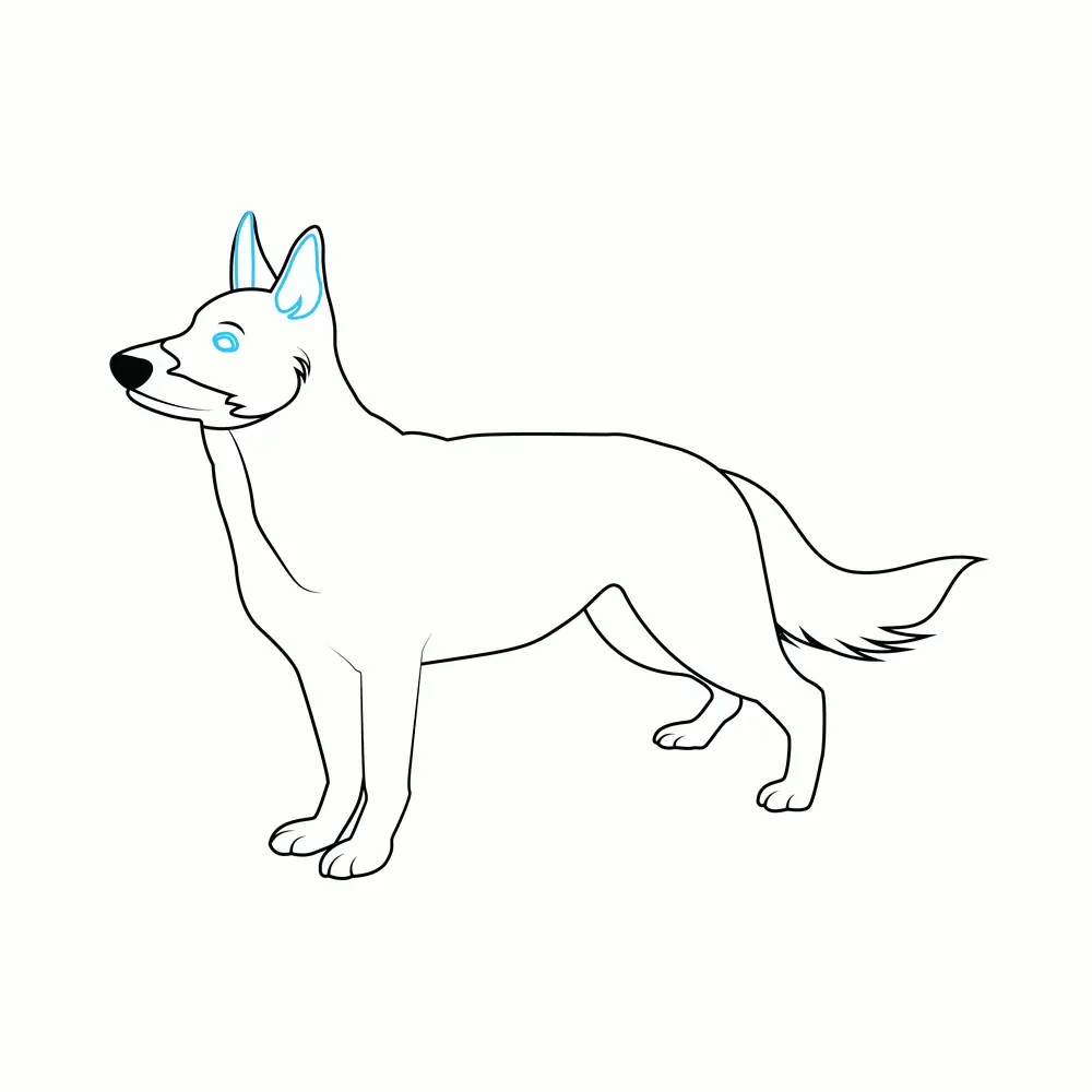 How to Draw A German Shepherd Two Step by Step Step  7