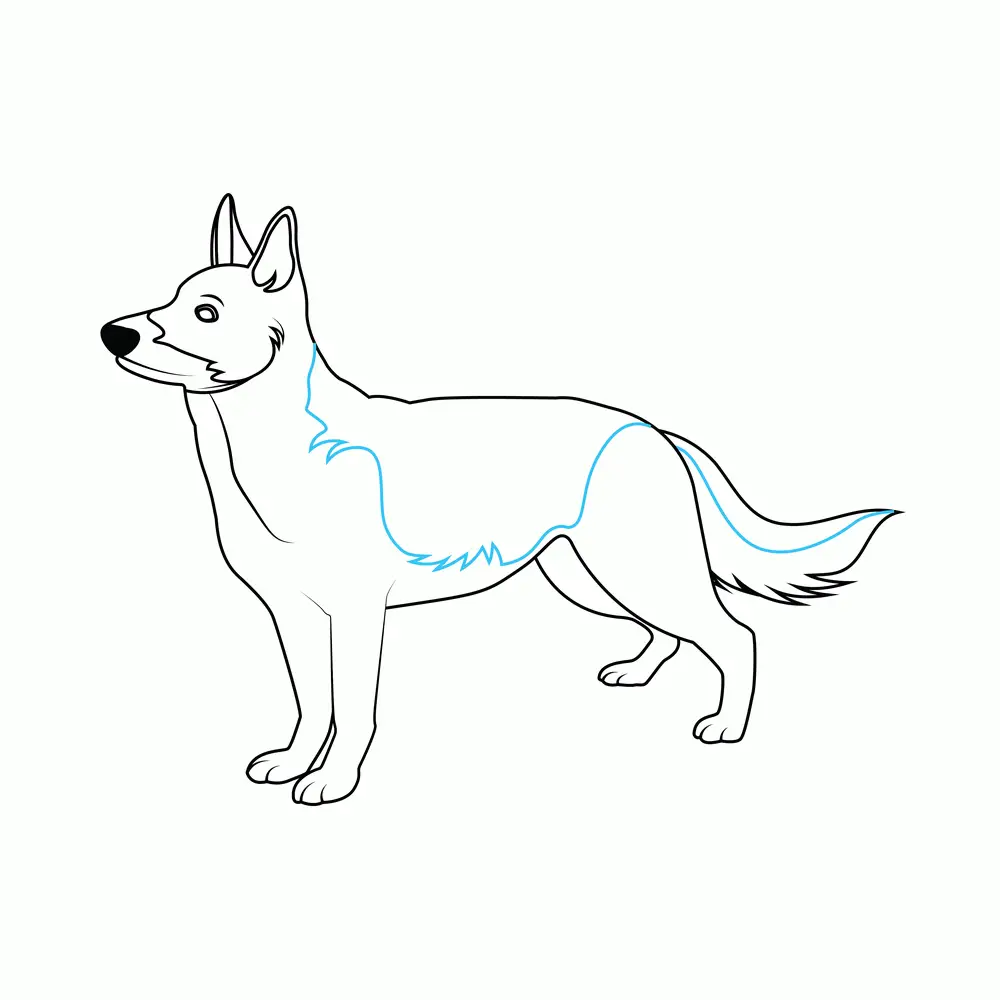 How to Draw A German Shepherd Two Step by Step Step  8