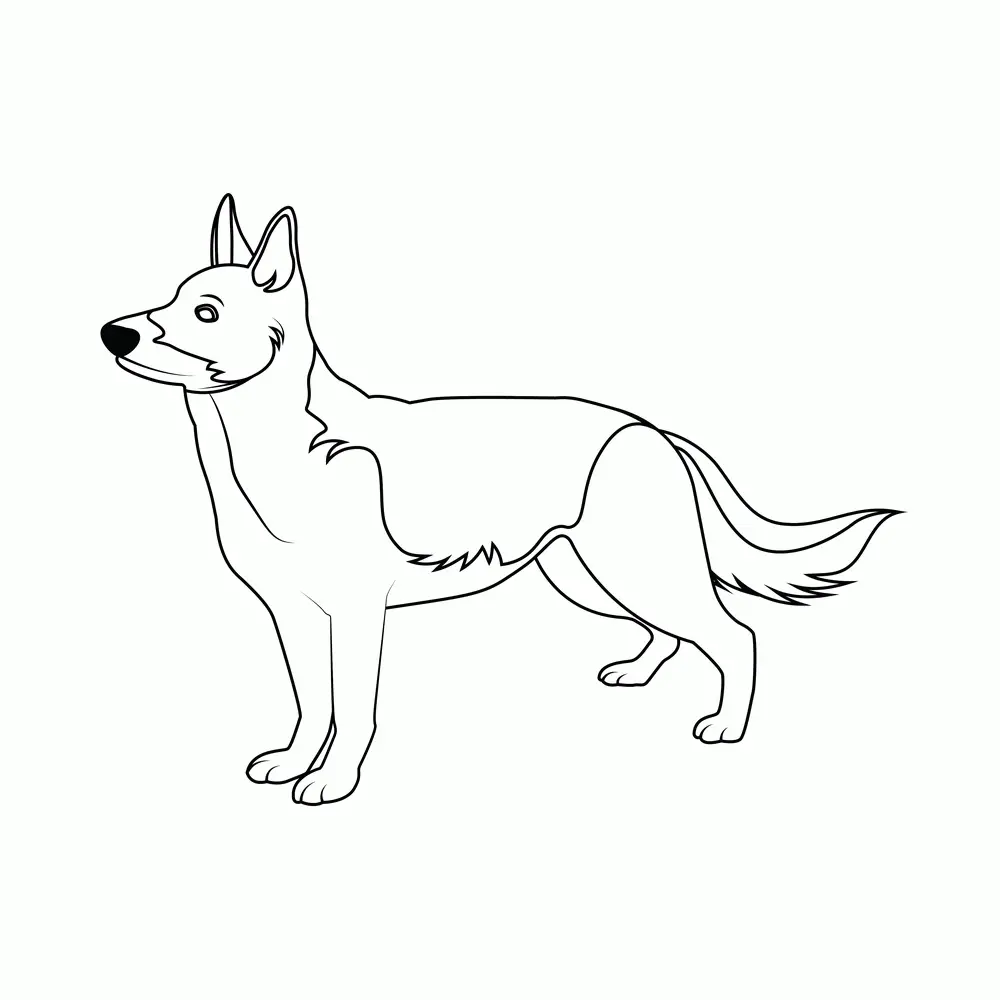 How to Draw A German Shepherd Two Step by Step Step  9