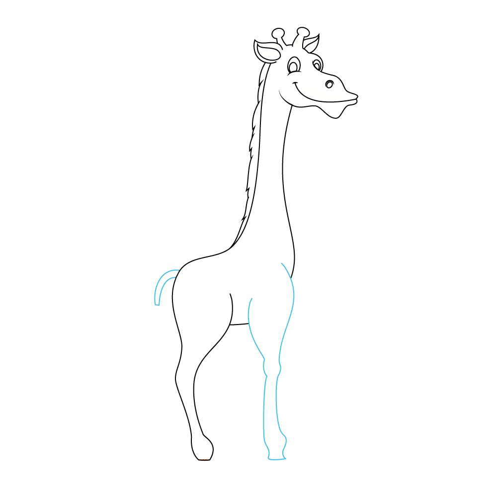 How to Draw A Giraffe Step by Step Step  5
