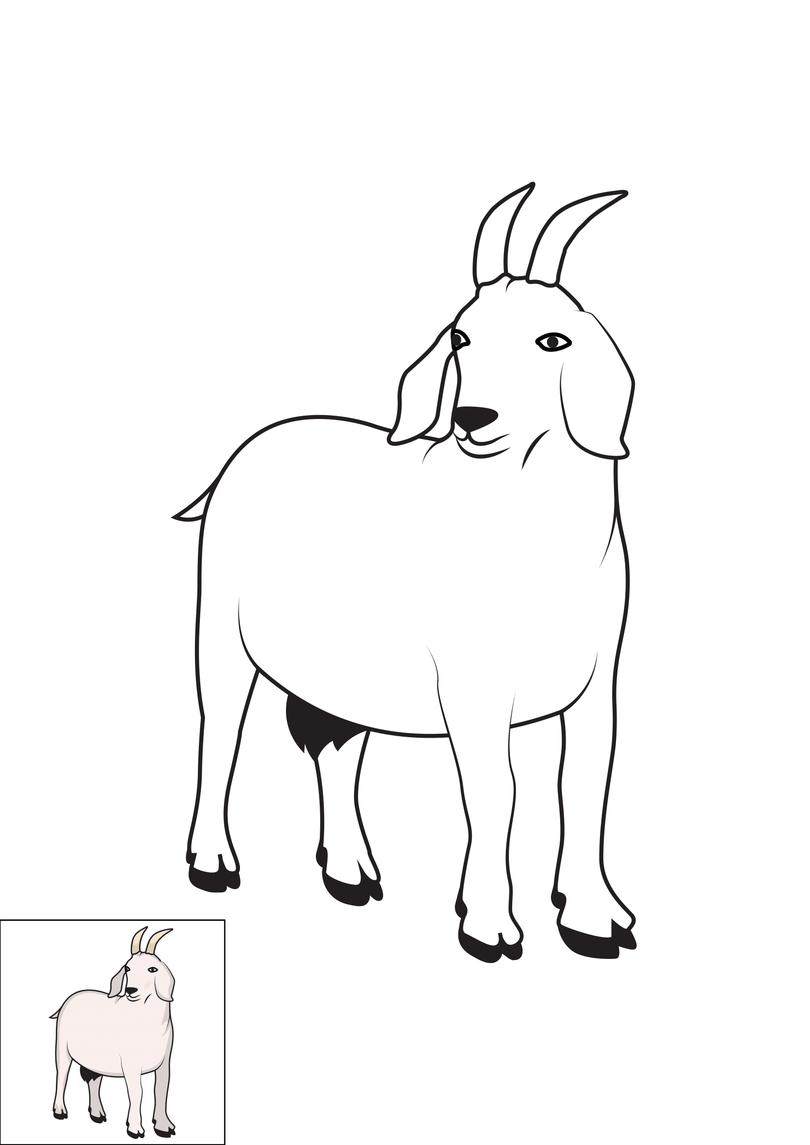 How to Draw A Goat Step by Step Printable Color