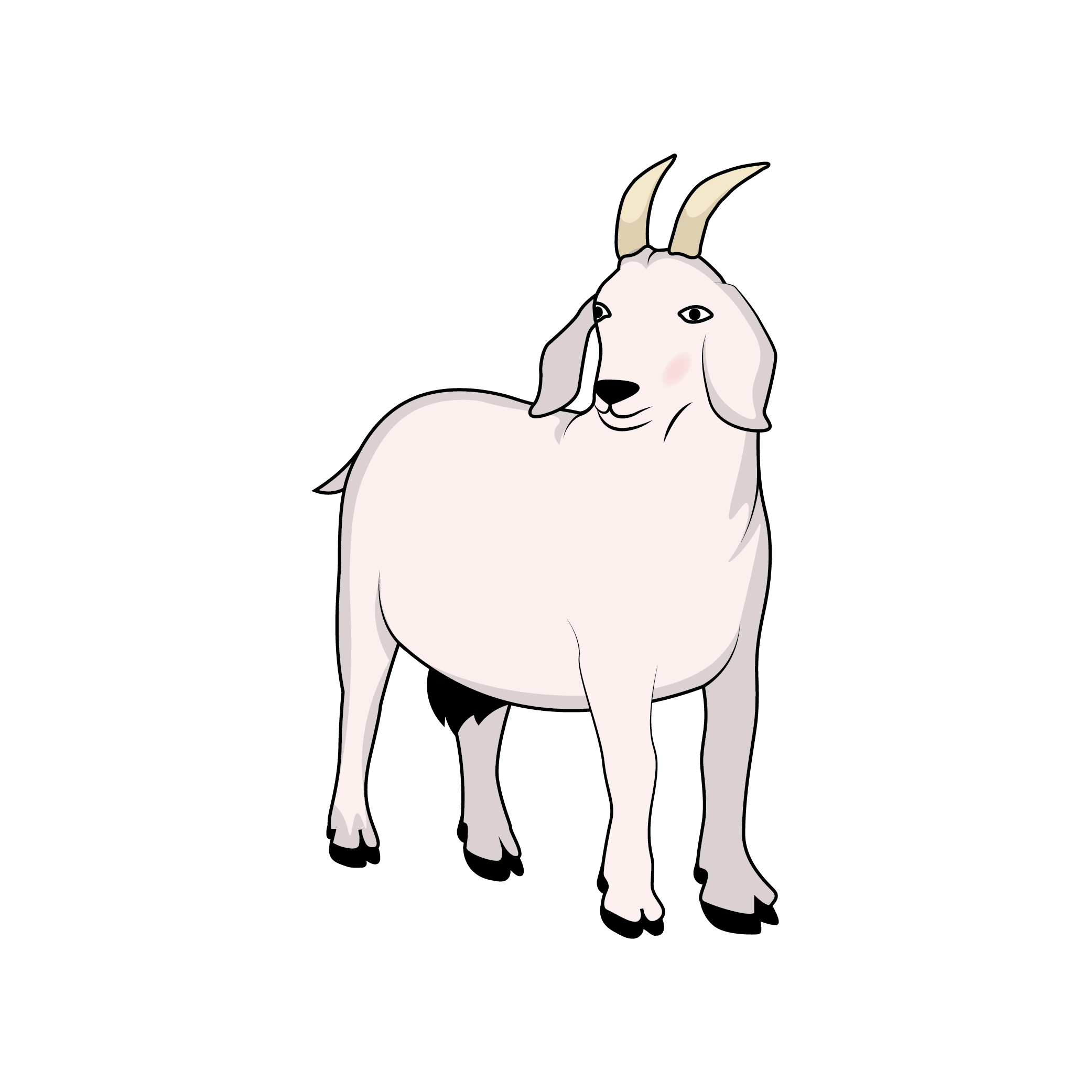 How to Draw A Goat Step by Step