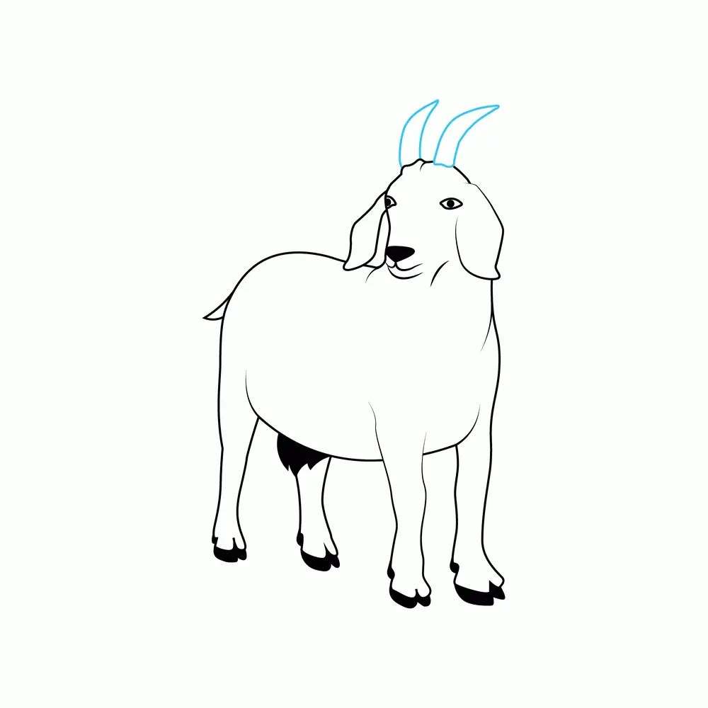 How to Draw A Goat Step by Step Step  8