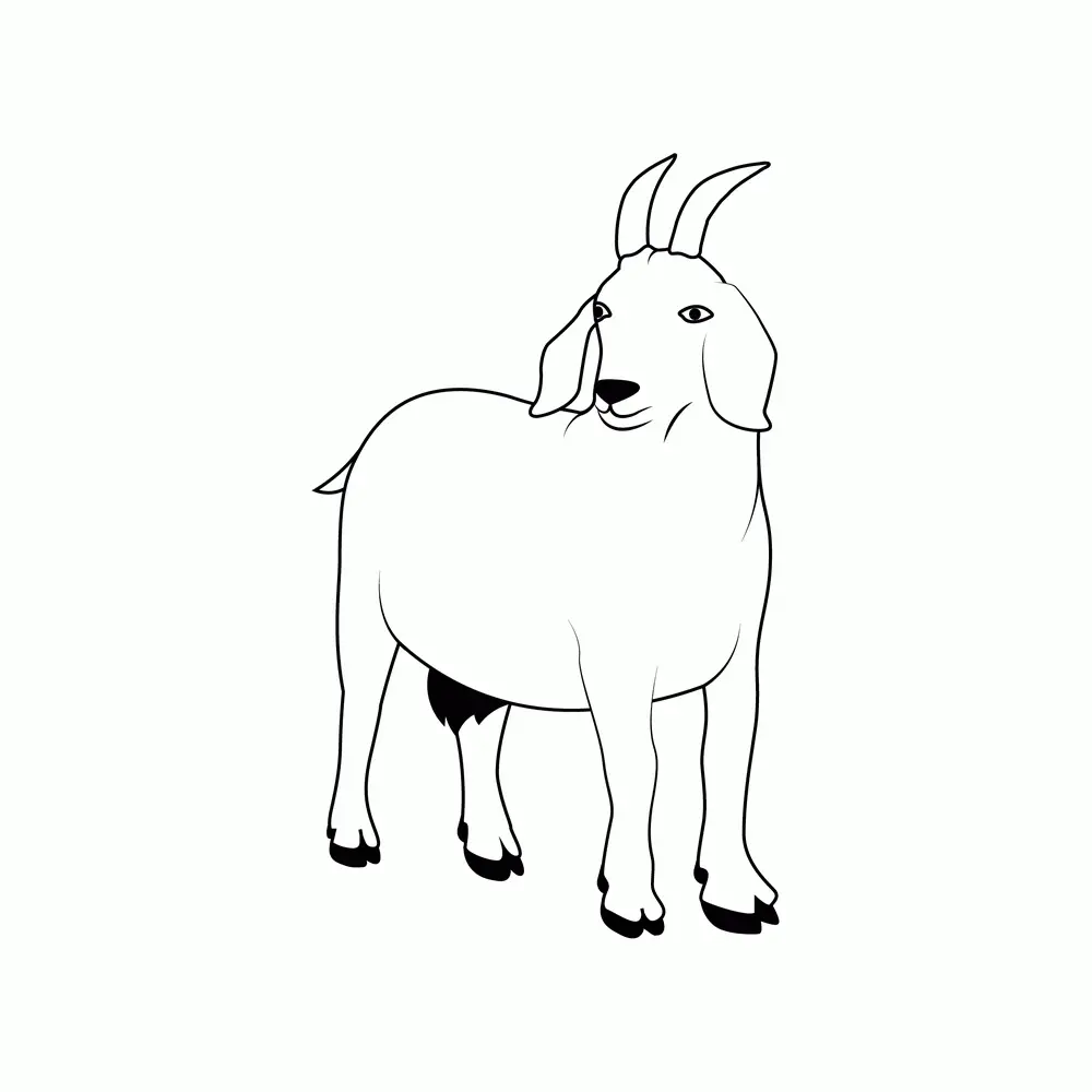 How to Draw A Goat Step by Step Step  9