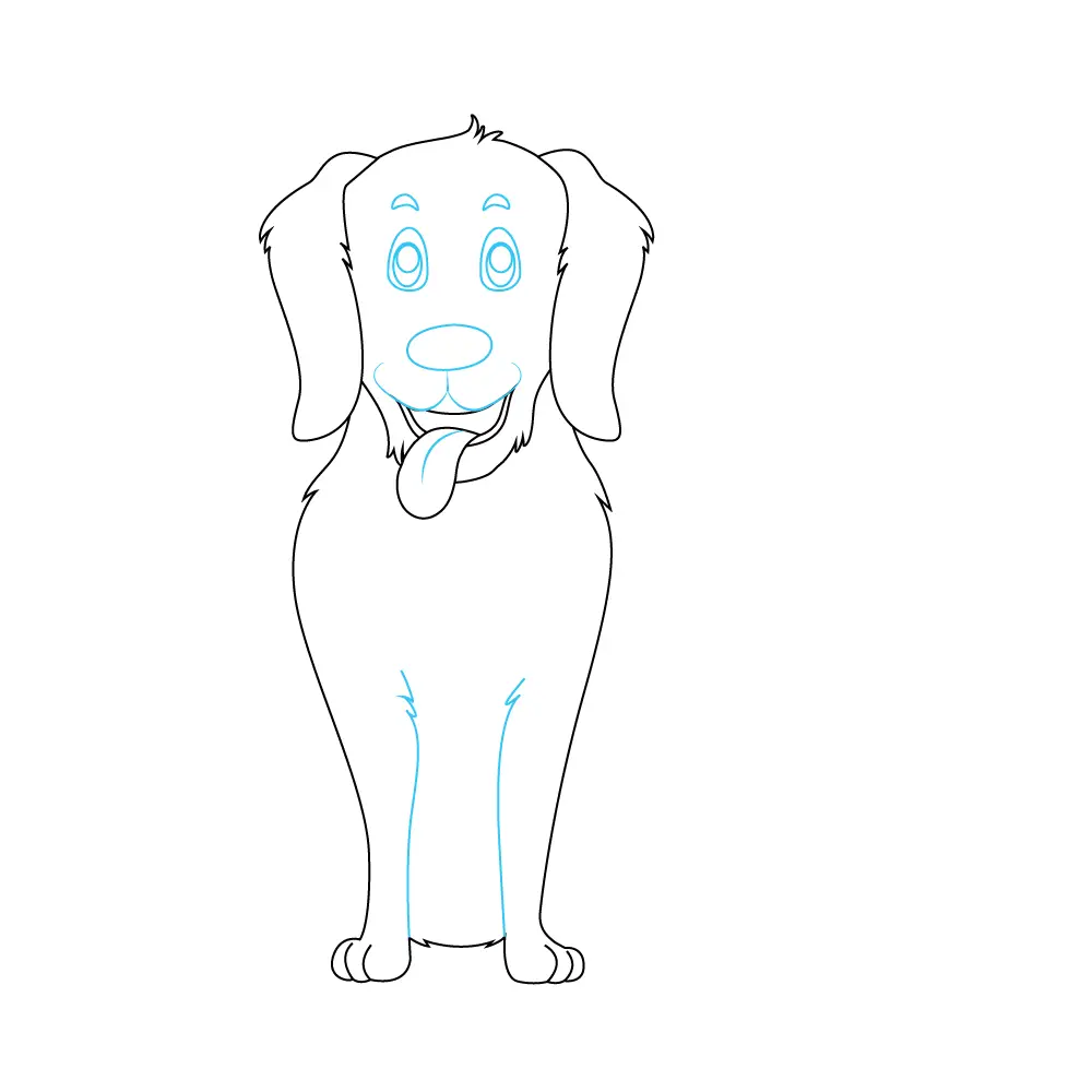 How to Draw A Golden Retriever Step by Step Step  5