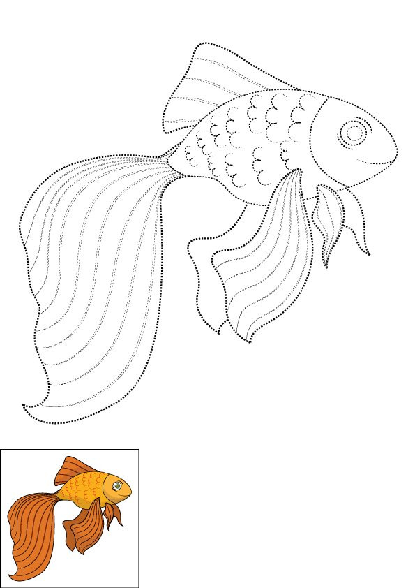 How to Draw A Goldfish Step by Step Printable Dotted