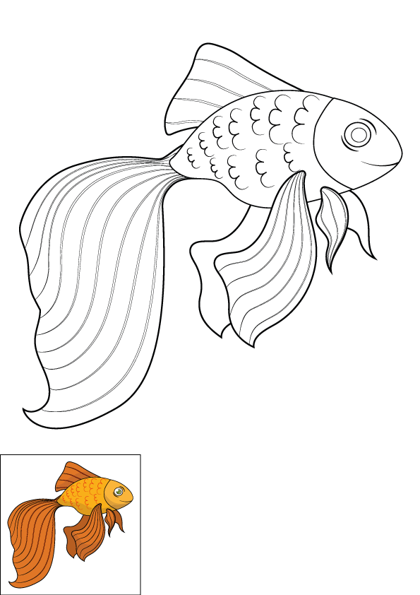 How to Draw A Goldfish Step by Step Printable Color