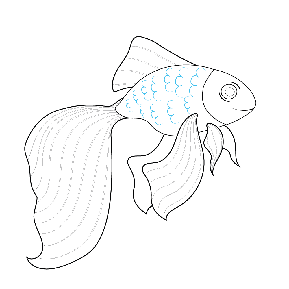 How to Draw A Goldfish Step by Step Step  10