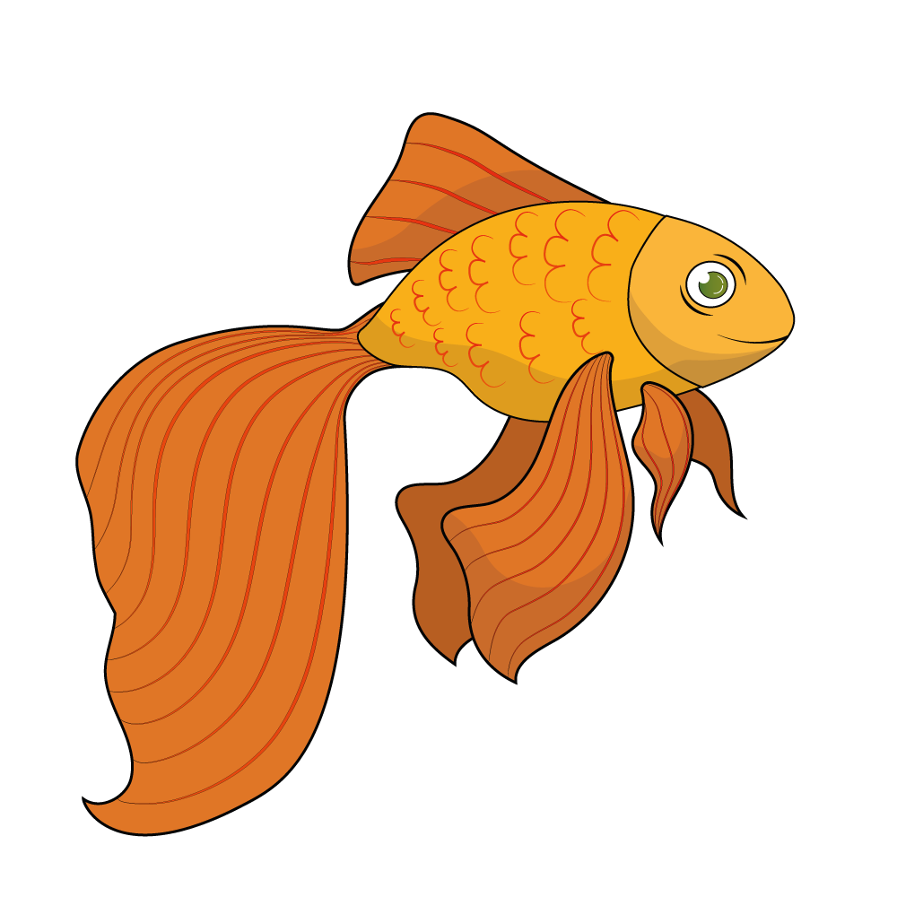 How to Draw A Goldfish Step by Step Step  12