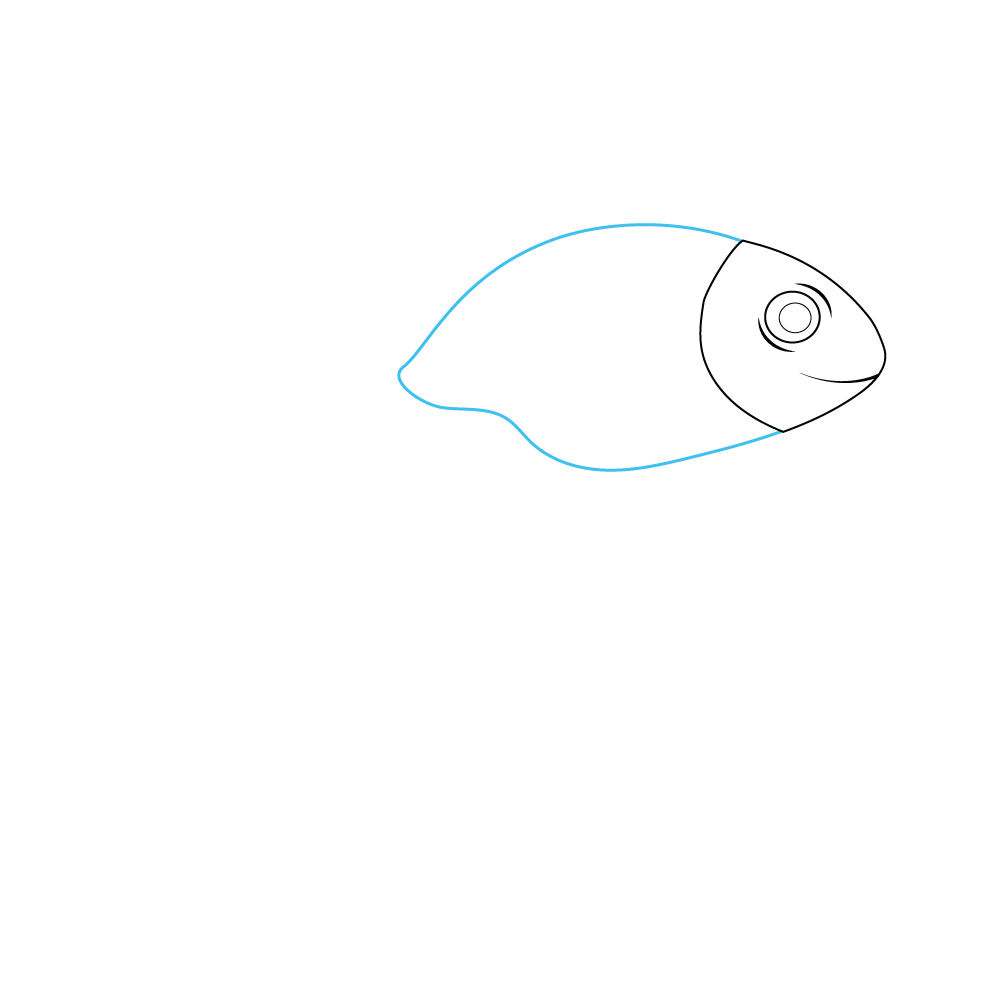 How to Draw A Goldfish Step by Step Step  3