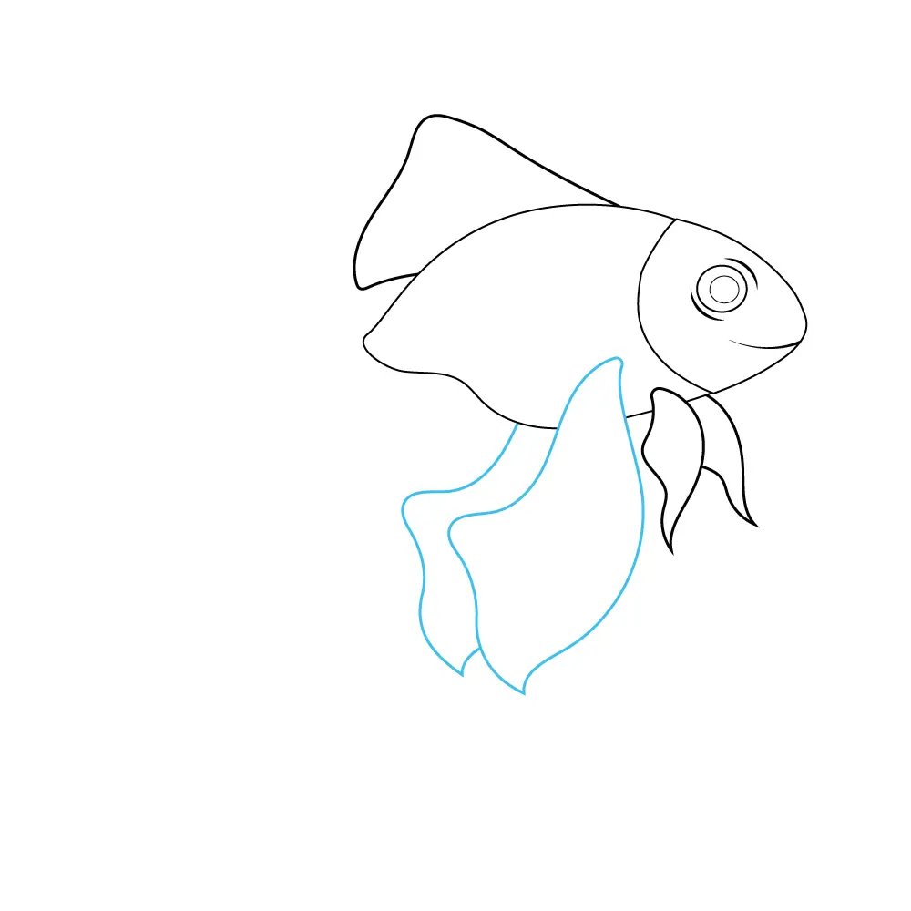 How to Draw A Goldfish Step by Step Step  5