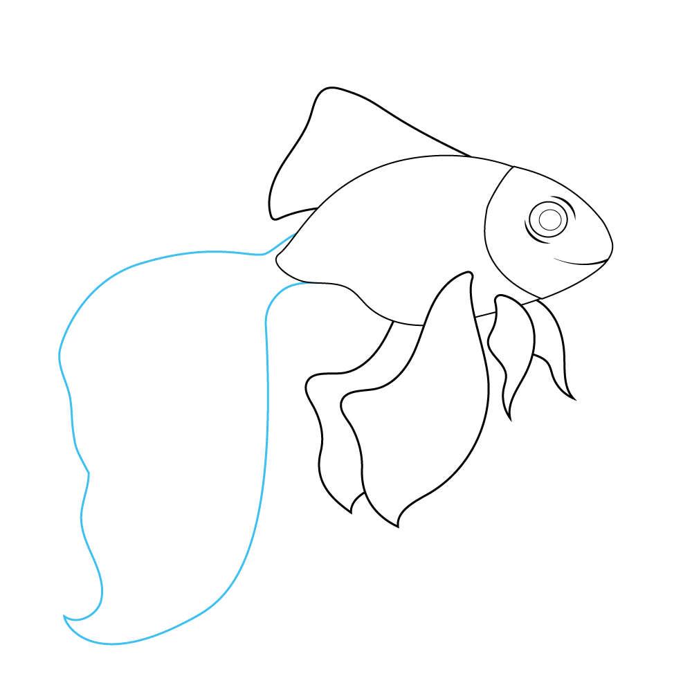 How to Draw A Goldfish Step by Step Step  6