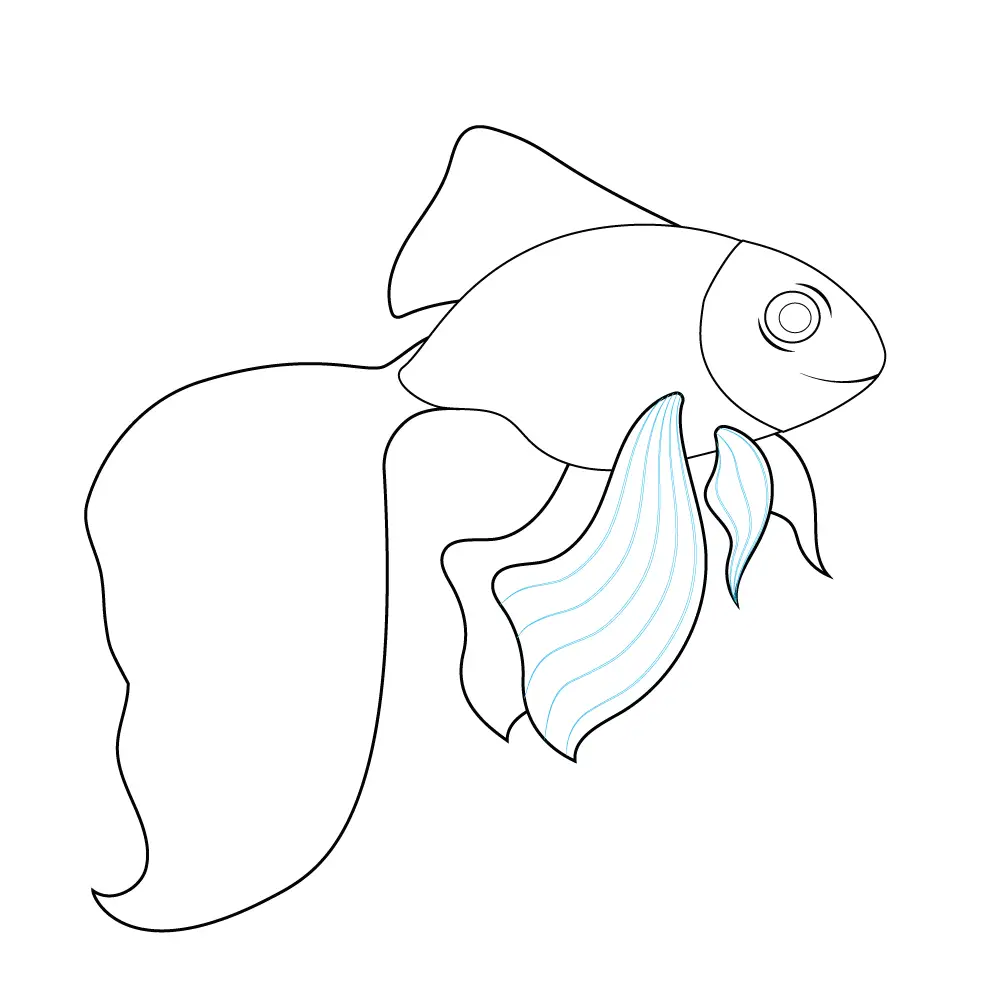 How to Draw A Goldfish Step by Step Step  7