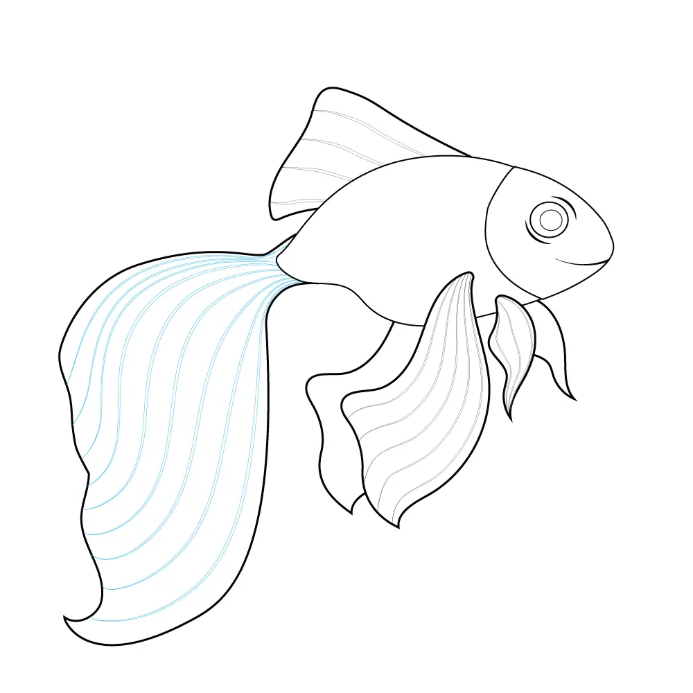 How to Draw A Goldfish Step by Step Step  9