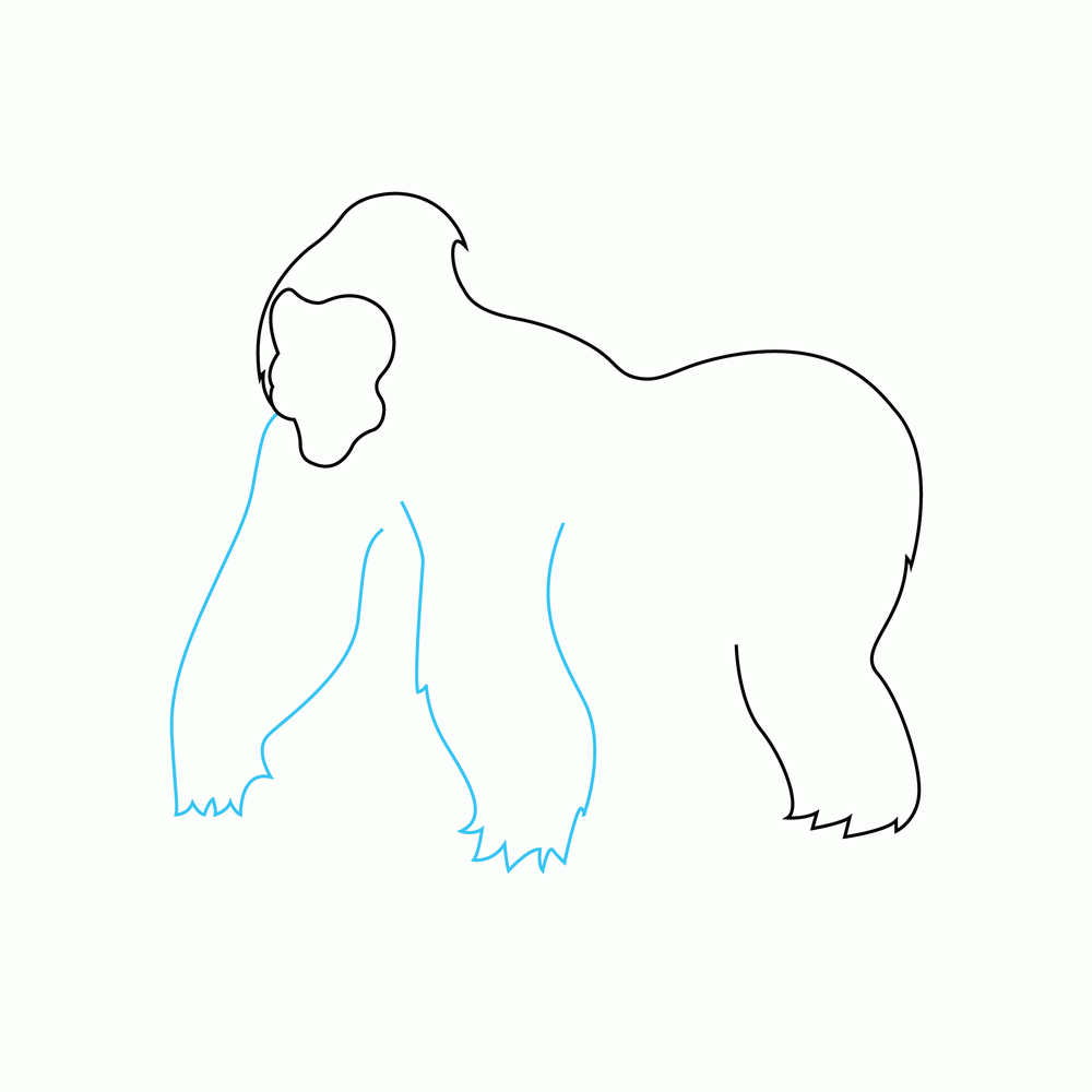 How to Draw A Gorilla Step by Step Step  3