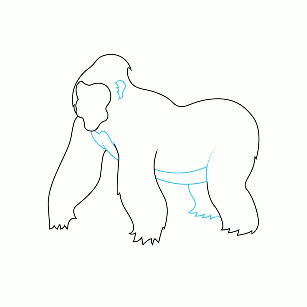 How to Draw A Gorilla Step by Step Step  4