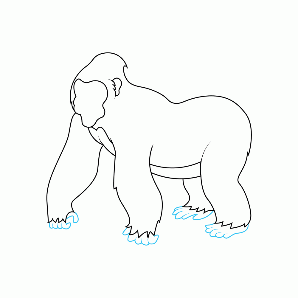 How to Draw A Gorilla Step by Step Step  5