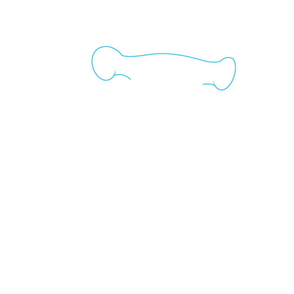 How to Draw A Hammerhead Shark Step by Step Step  1