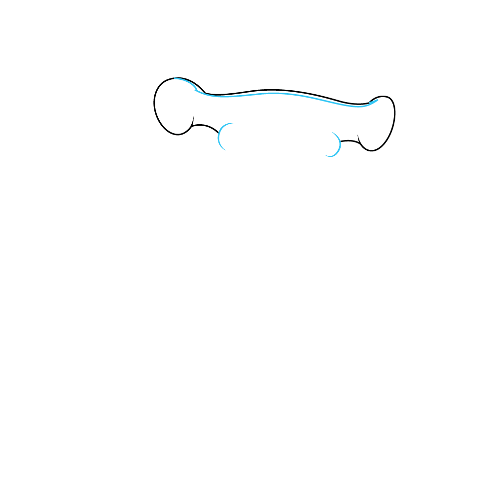 How to Draw A Hammerhead Shark Step by Step Step  2