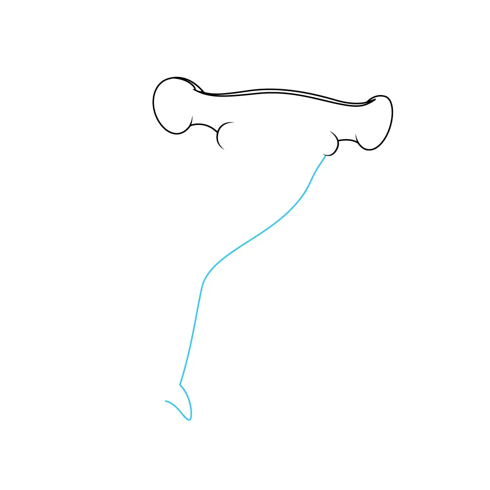 How to Draw A Hammerhead Shark Step by Step Step  3