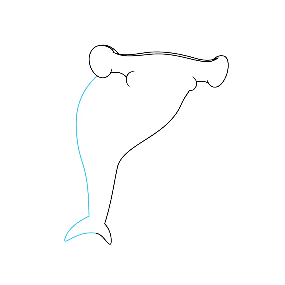 How to Draw A Hammerhead Shark Step by Step Step  4
