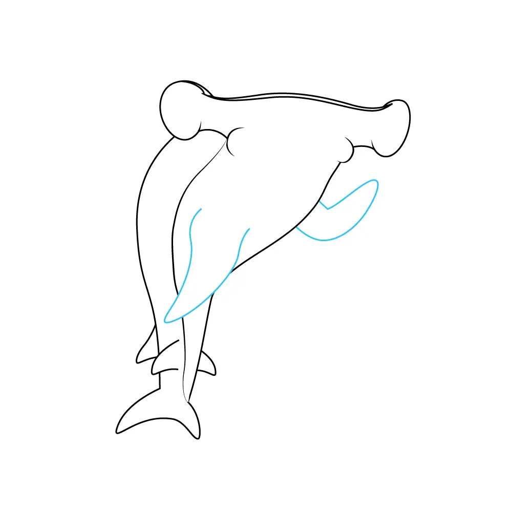 How to Draw A Hammerhead Shark Step by Step Step  6