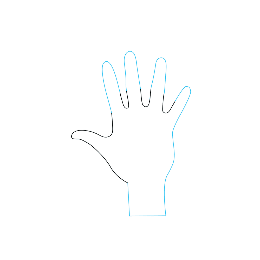 How to Draw A Hand Step by Step Step  3