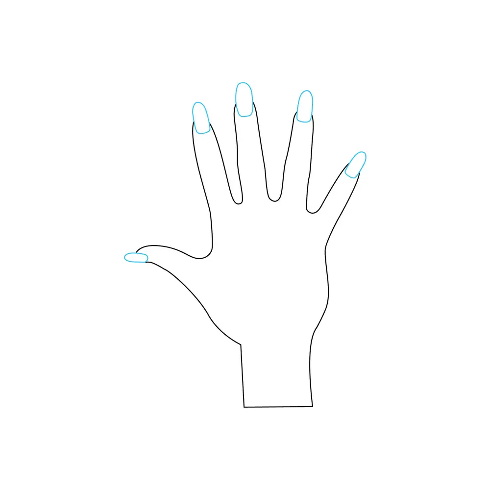 How to Draw A Hand Step by Step Step  4