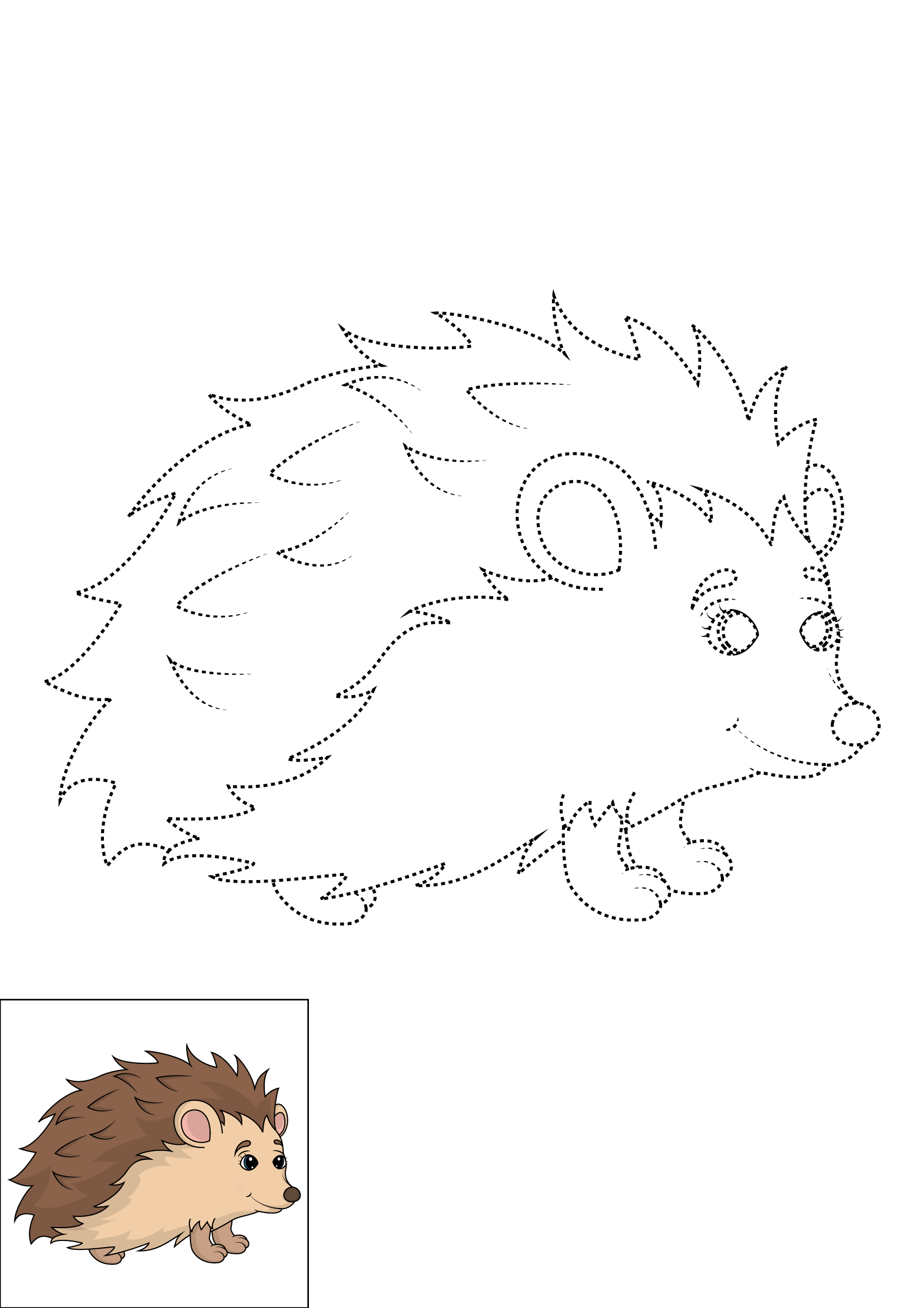 How to Draw A Hedgehog Step by Step Printable Dotted