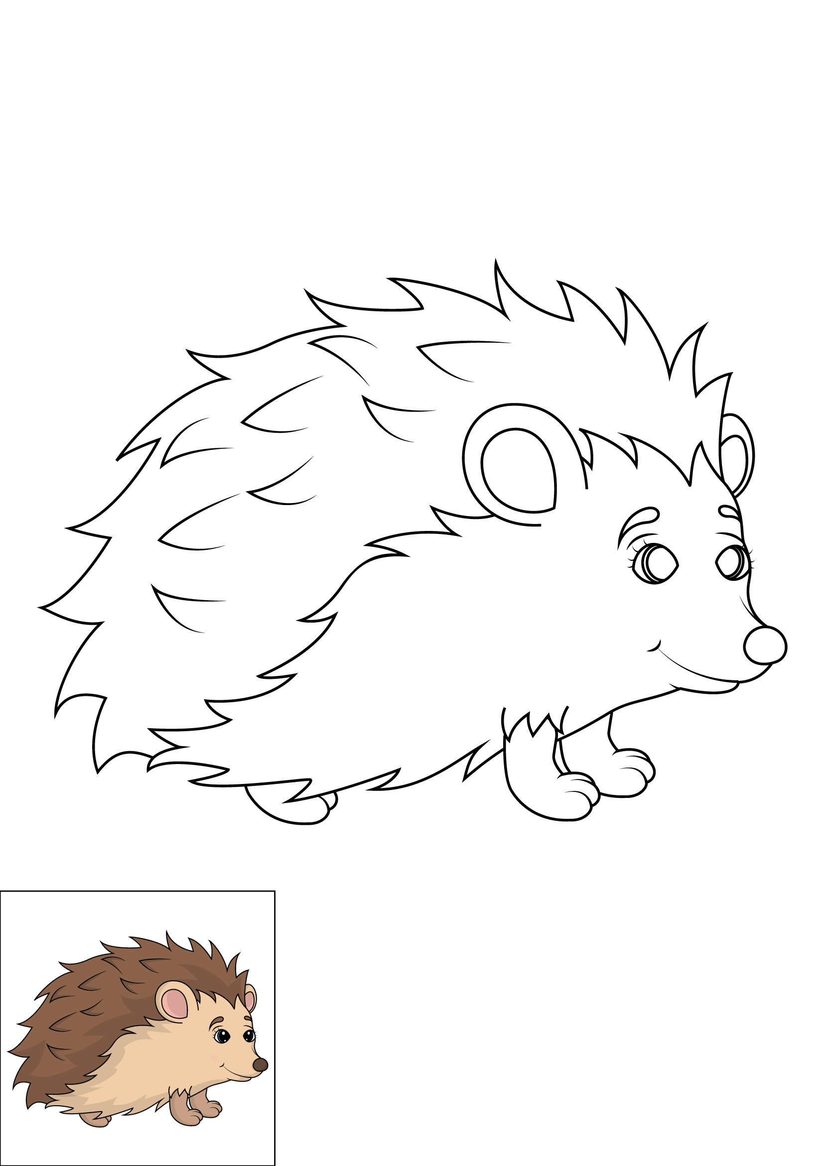How to Draw A Hedgehog Step by Step Printable Color