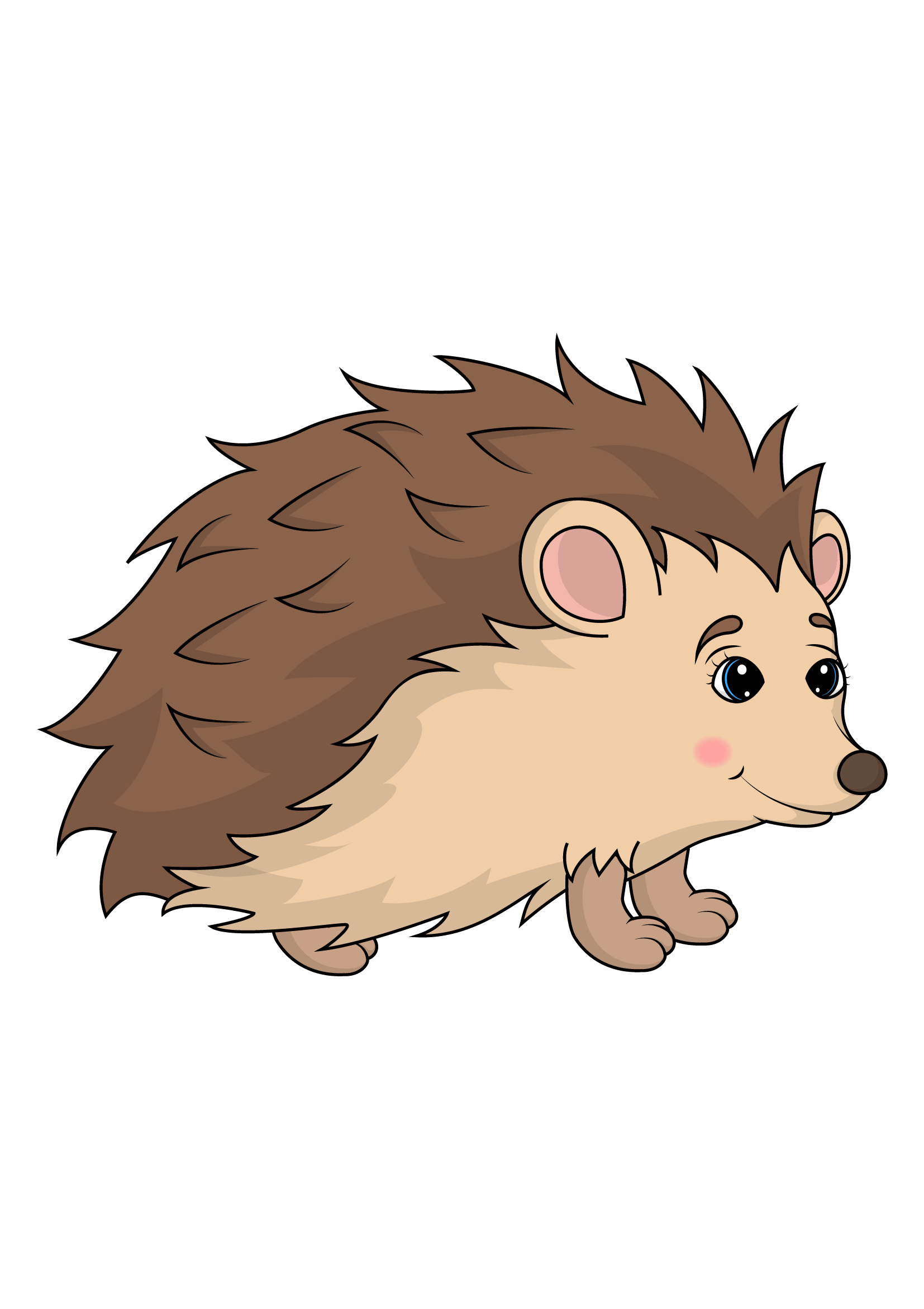 How to Draw A Hedgehog Step by Step Printable