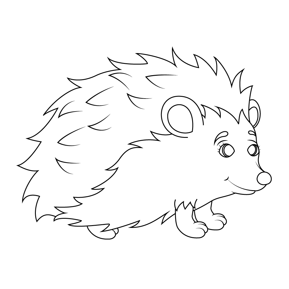 How to Draw A Hedgehog Step by Step Step  10