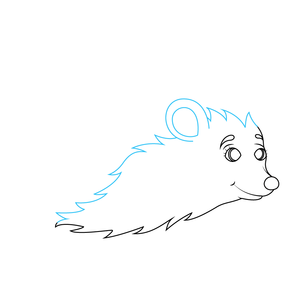 How to Draw A Hedgehog Step by Step Step  5
