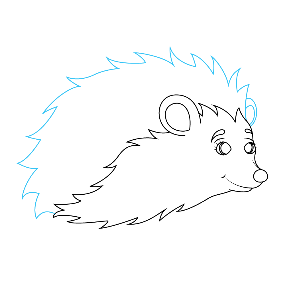How to Draw A Hedgehog Step by Step Step  6