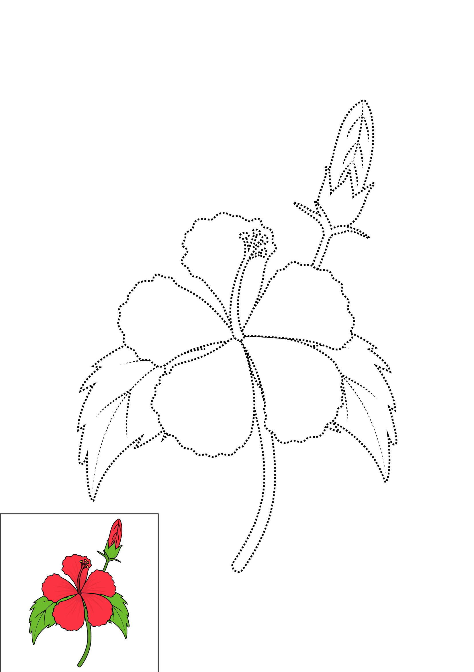 How to Draw A Hibiscus Step by Step Printable Dotted