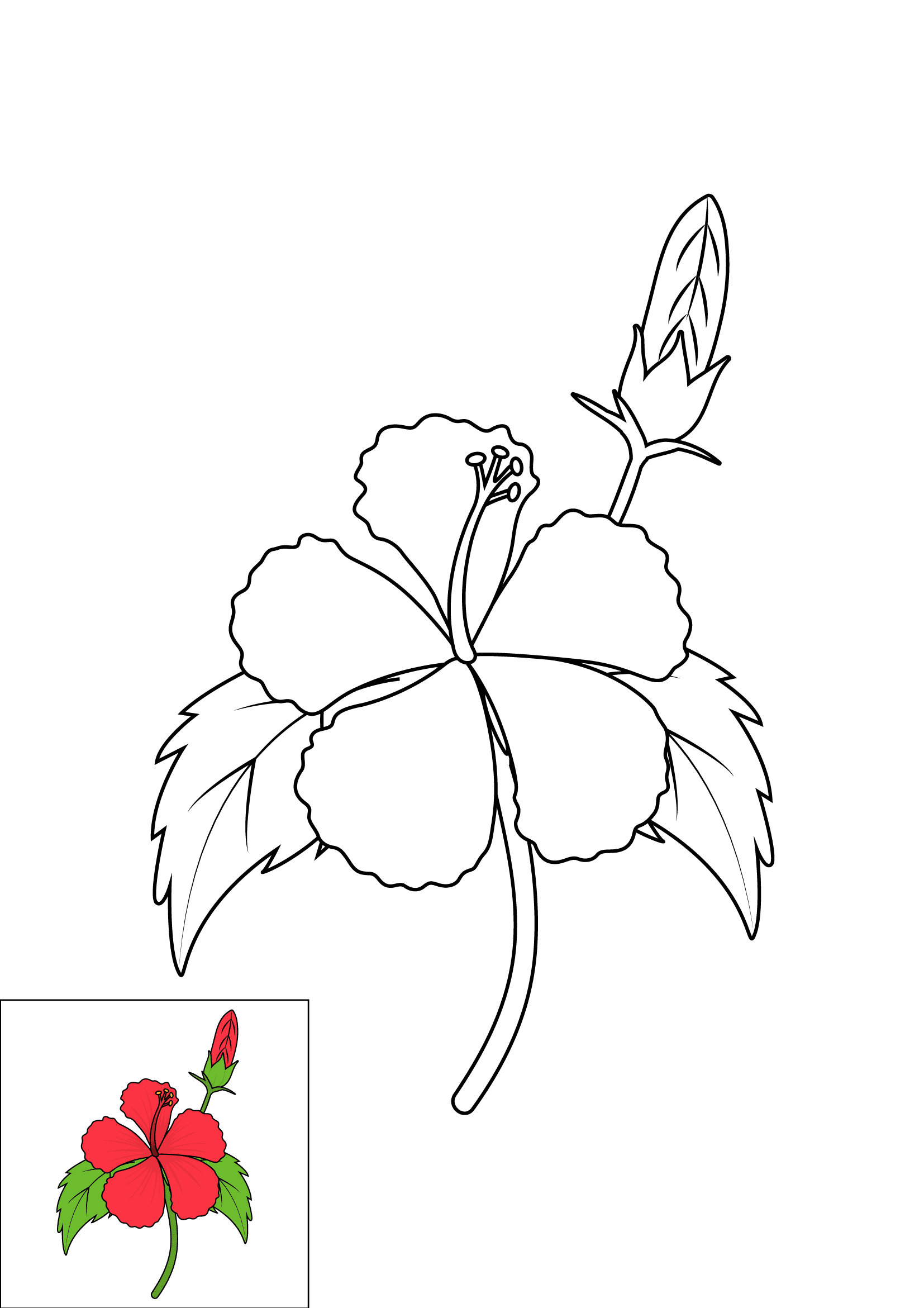 How to Draw A Hibiscus Step by Step Printable Color