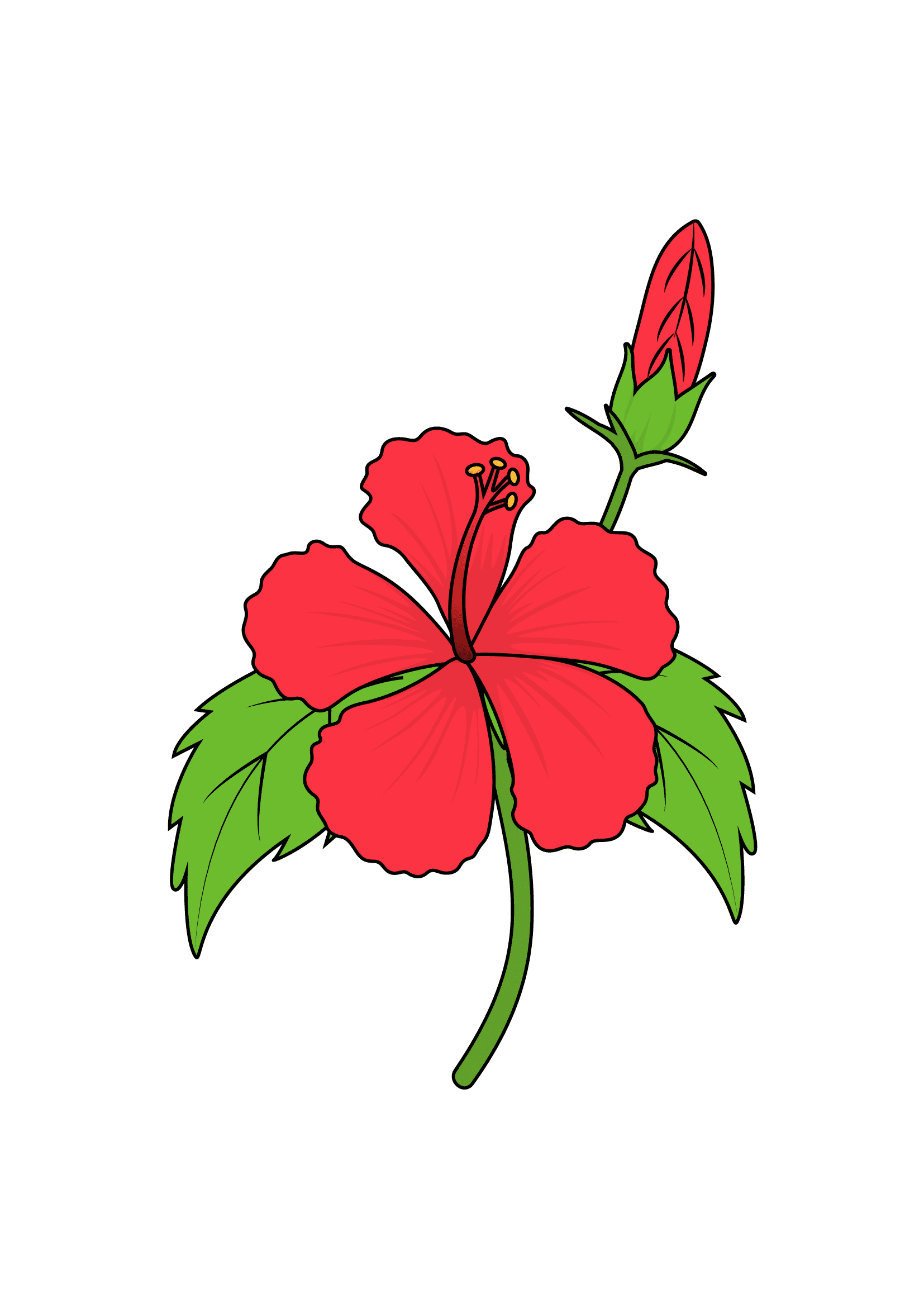 How to Draw A Hibiscus Step by Step Printable