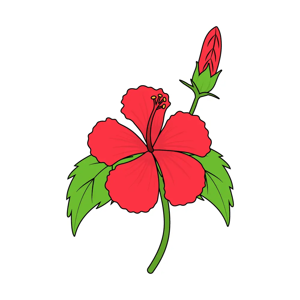 How to Draw A Hibiscus Step by Step Step  11