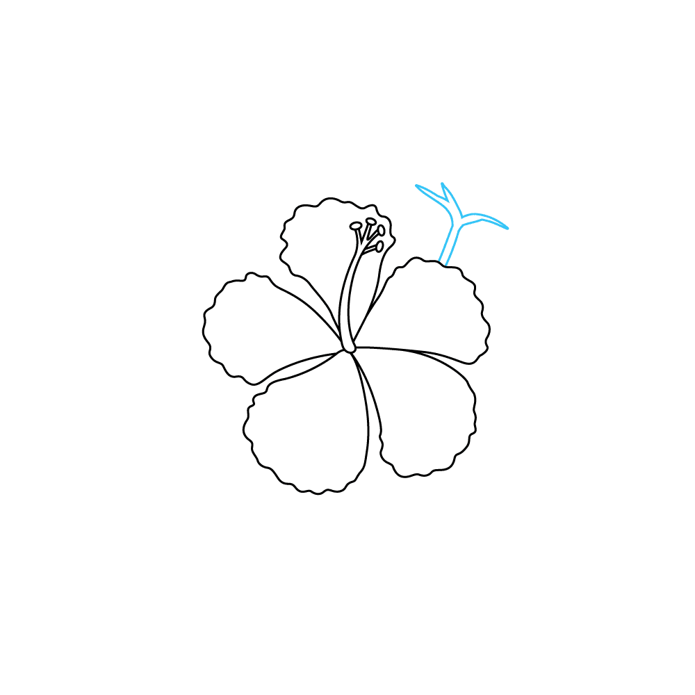 How to Draw A Hibiscus Step by Step Step  5